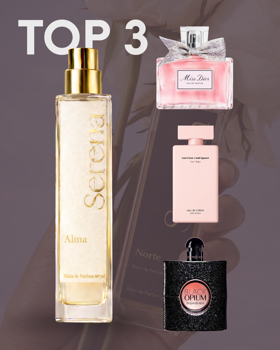 TOP 3 | Dupe de Miss Dior 2021 - Black Opium YSL - Her de Narciso Rodriguez